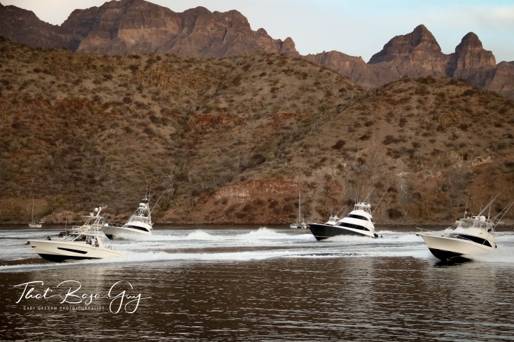 Marina Puerto Escondido Tournament Boats