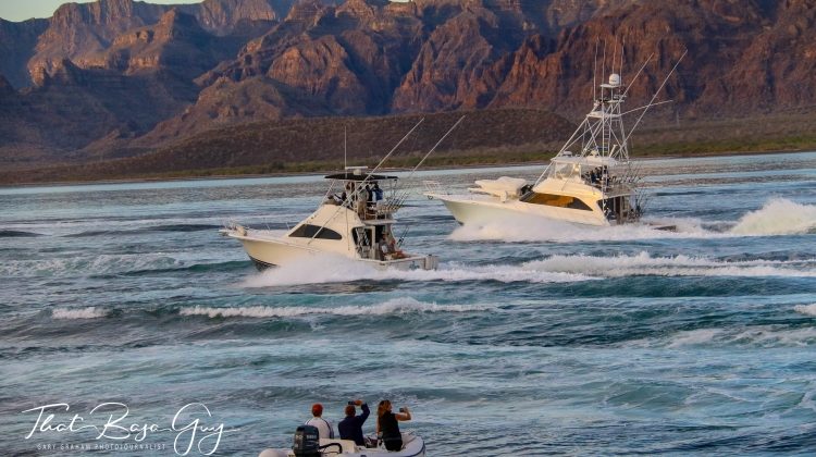 Marina Puerto Escondido Tournament Ships