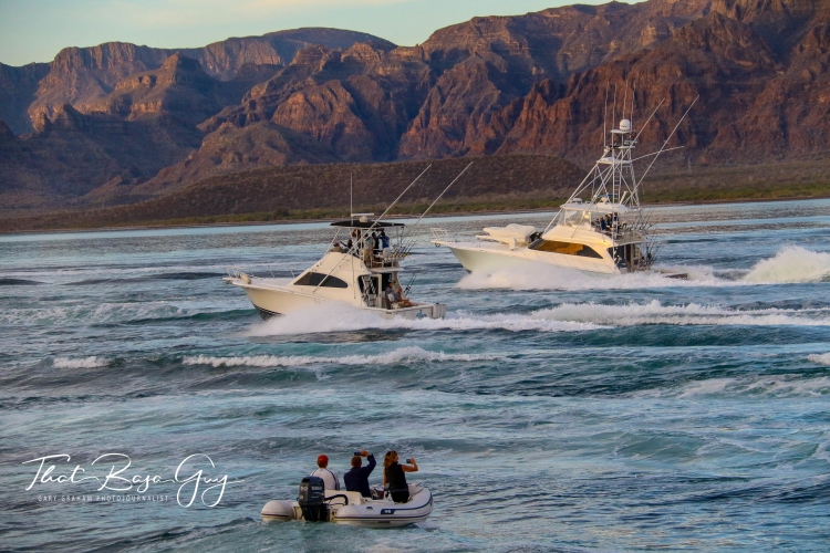 Marina Puerto Escondido Tournament Ships